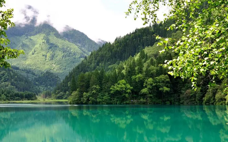 高效精密
